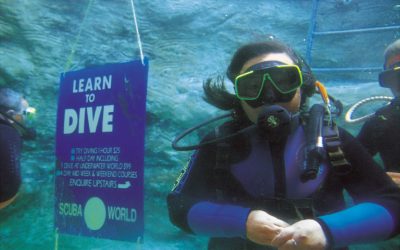 Diving on the Gold Coast