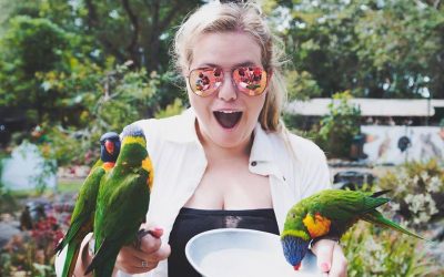 Interact with Your Favourite Animals at the Gold Coast’s Favourite Wildlife Sanctuary