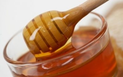 Know all about Honey at Superbee Honeyworld