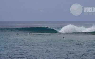 World Surfaris Coast-of-Origin Interclub Series Regional Challenge